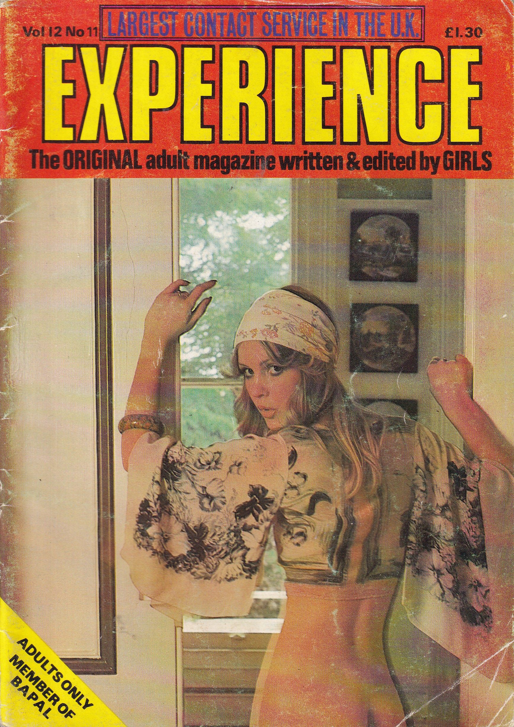 Experience Vol 12 no 11.