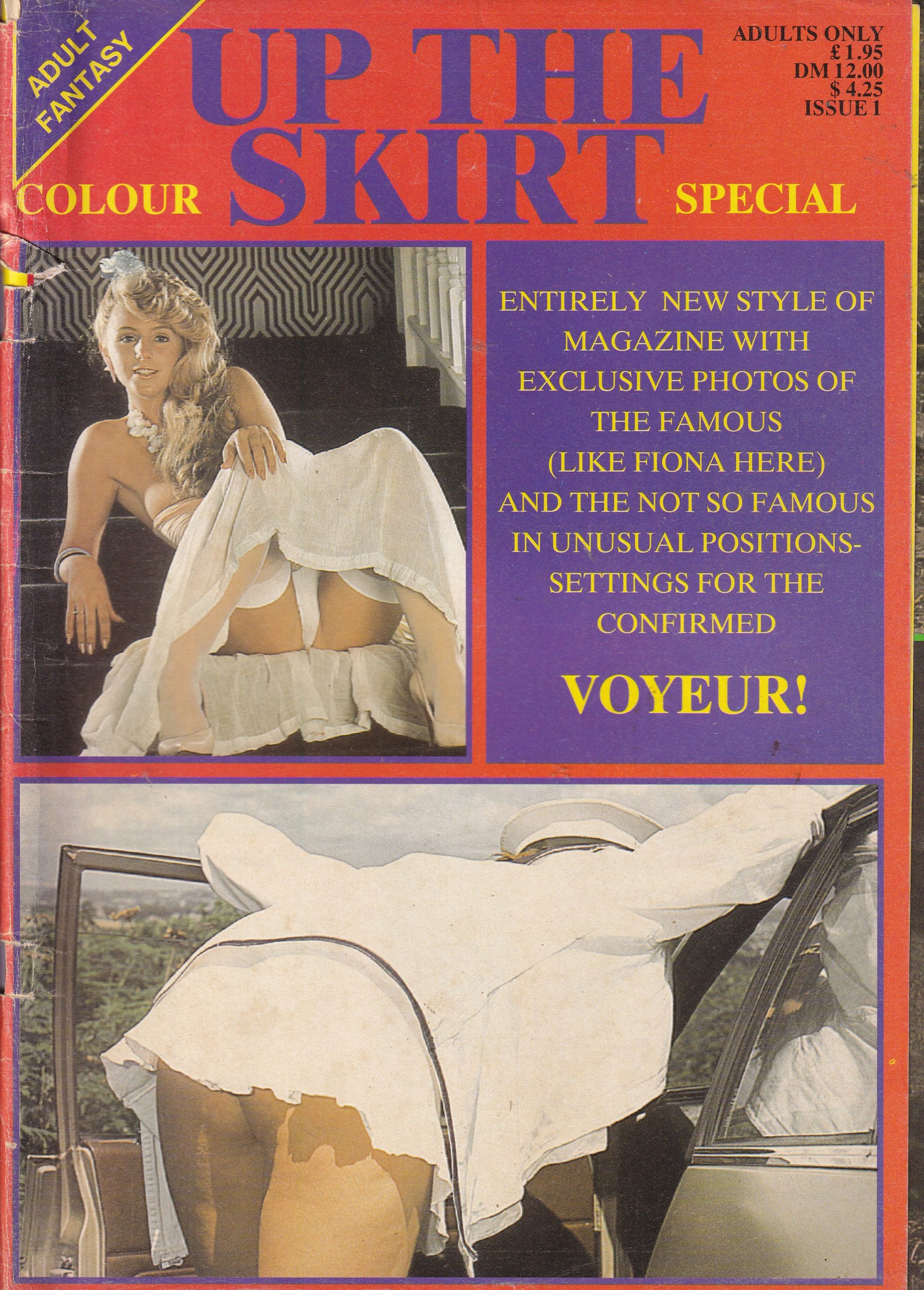 Adult Fantasy Up The Skirt Issue 1.